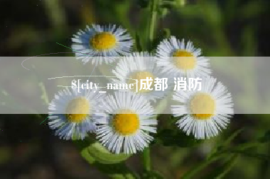 七台河成都 消防