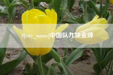 七台河中国队九块金牌