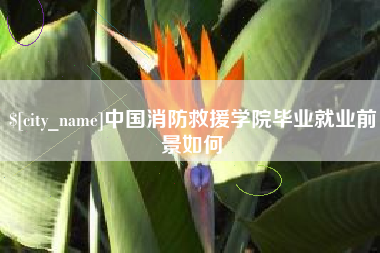 七台河中国消防救援学院毕业就业前景如何