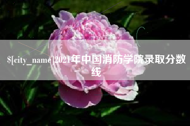 七台河2021年中国消防学院录取分数线