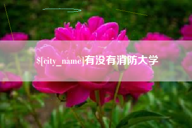 七台河有没有消防大学