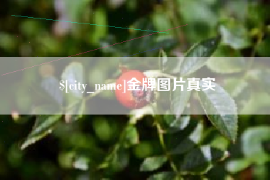 七台河金牌图片真实