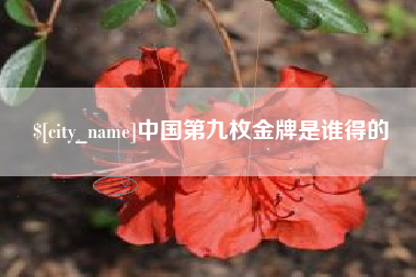 七台河中国第九枚金牌是谁得的