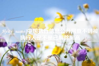 七台河中国执行信息公开网查不到被执行人是不是已解除限高