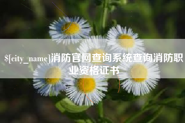七台河消防官网查询系统查询消防职业资格证书