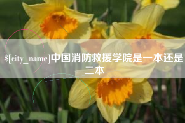 七台河中国消防救援学院是一本还是二本