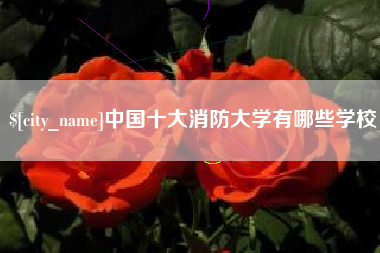 七台河中国十大消防大学有哪些学校