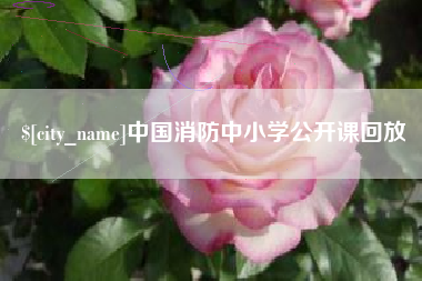 七台河中国消防中小学公开课回放