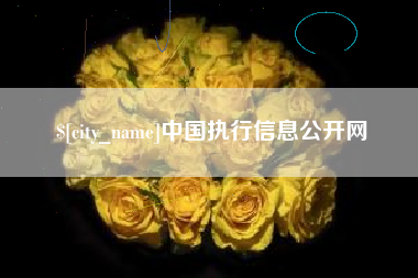 七台河中国执行信息公开网