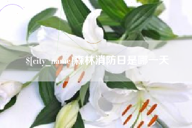 七台河森林消防日是哪一天