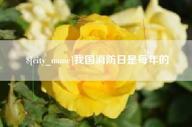 七台河我国消防日是每年的