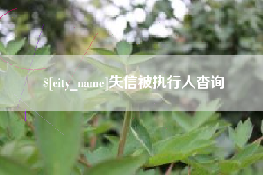 七台河失信被执行人杳询