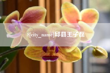 七台河邱县王子磊