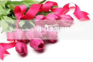 七台河11月9日全国消防日图片
