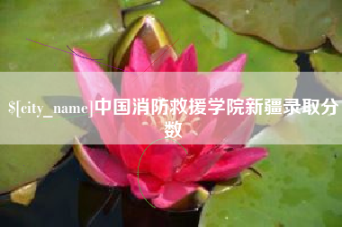 七台河中国消防救援学院新疆录取分数