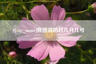 七台河我国消防日几月几号