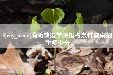 七台河消防救援学院报考条件湖南招生多少分