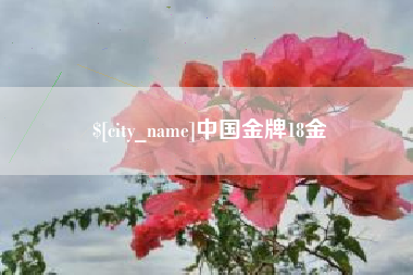七台河中国金牌18金