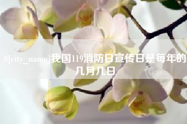 七台河我国119消防日宣传日是每年的几月几日