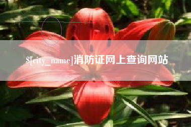 七台河消防证网上查询网站