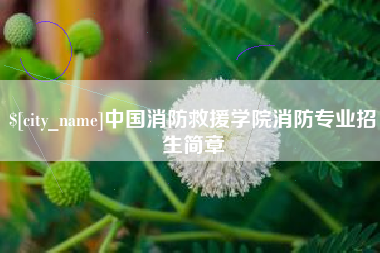 七台河中国消防救援学院消防专业招生简章