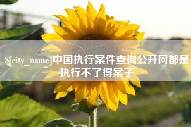 七台河中国执行案件查询公开网都是执行不了得案子
