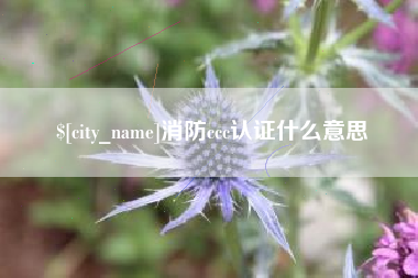 七台河消防ccc认证什么意思