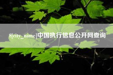 七台河中国执行信息公开网查询