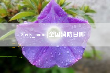 七台河全国消防日哪一