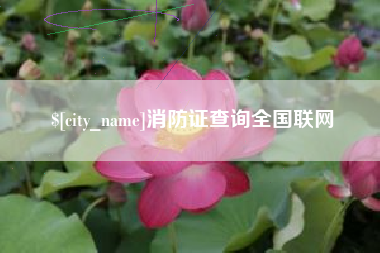 七台河消防证查询全国联网