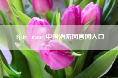 七台河中国消防网官网入口