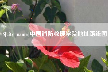 七台河中国消防救援学院地址路线图
