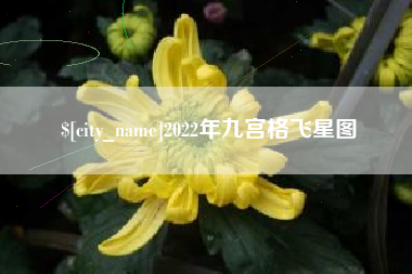 七台河2022年九宫格飞星图