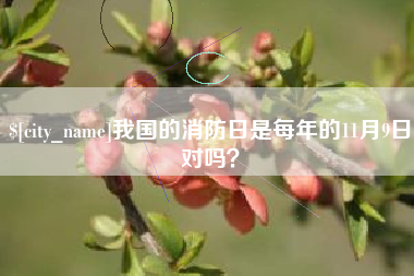 七台河我国的消防日是每年的11月9日对吗？
