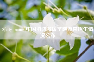 七台河中国消防救援学院湖南招生情况公布
