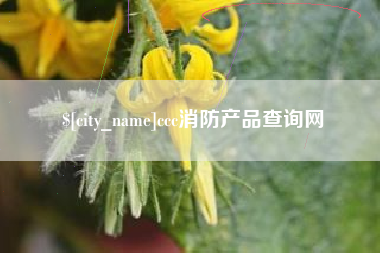 七台河ccc消防产品查询网
