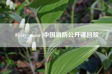 七台河中国消防公开课回放