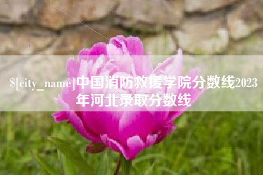 七台河中国消防救援学院分数线2023年河北录取分数线