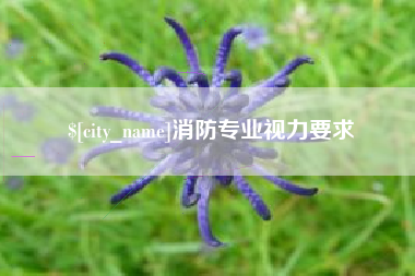 七台河消防专业视力要求