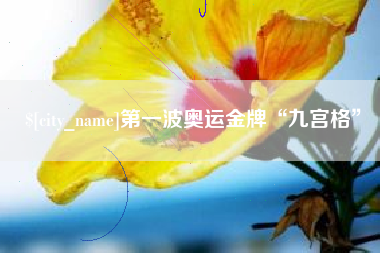 七台河第一波奥运金牌“九宫格”