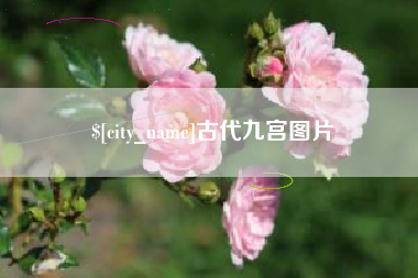 七台河古代九宫图片