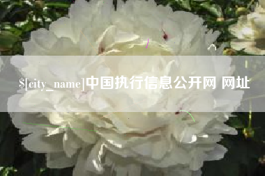 七台河中国执行信息公开网 网址