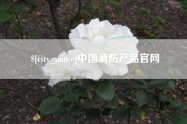 七台河中国消防产品官网