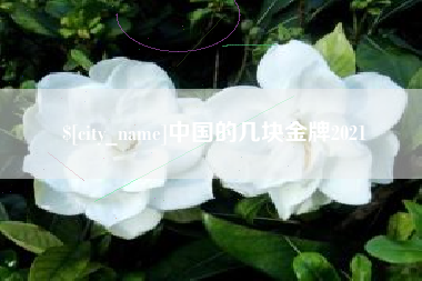 七台河中国的几块金牌2021