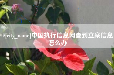 七台河中国执行信息网查到立案信息怎么办