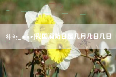 七台河我国消防日是几月几日几日