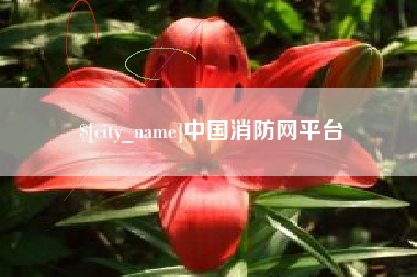 七台河中国消防网平台