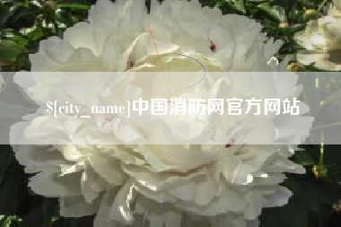 七台河中国消防网官方网站