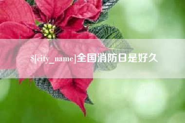 七台河全国消防日是好久