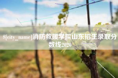 七台河消防救援学院山东招生录取分数线2020